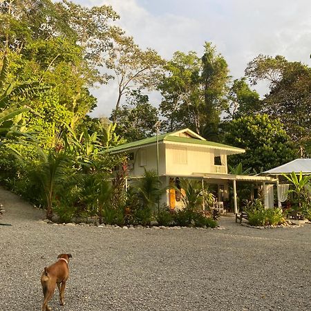 Colina Secreta - Glamping&Villas Puerto Viejo de Talamanca Esterno foto