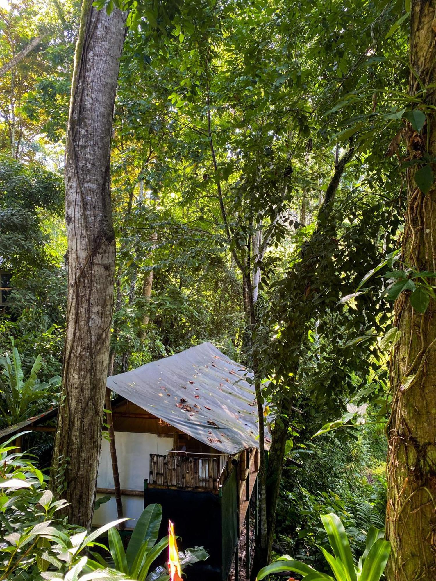 Colina Secreta - Glamping&Villas Puerto Viejo de Talamanca Esterno foto