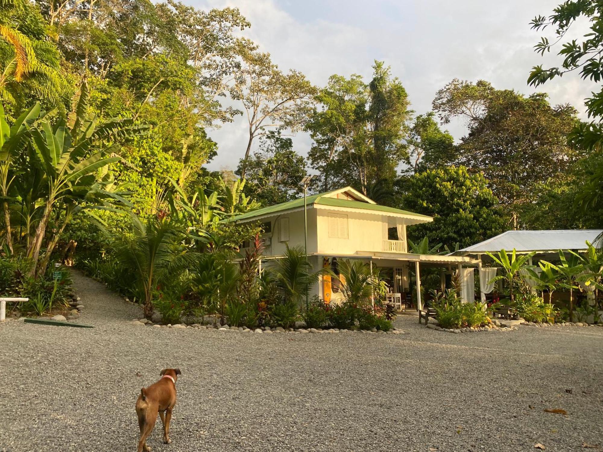 Colina Secreta - Glamping&Villas Puerto Viejo de Talamanca Esterno foto